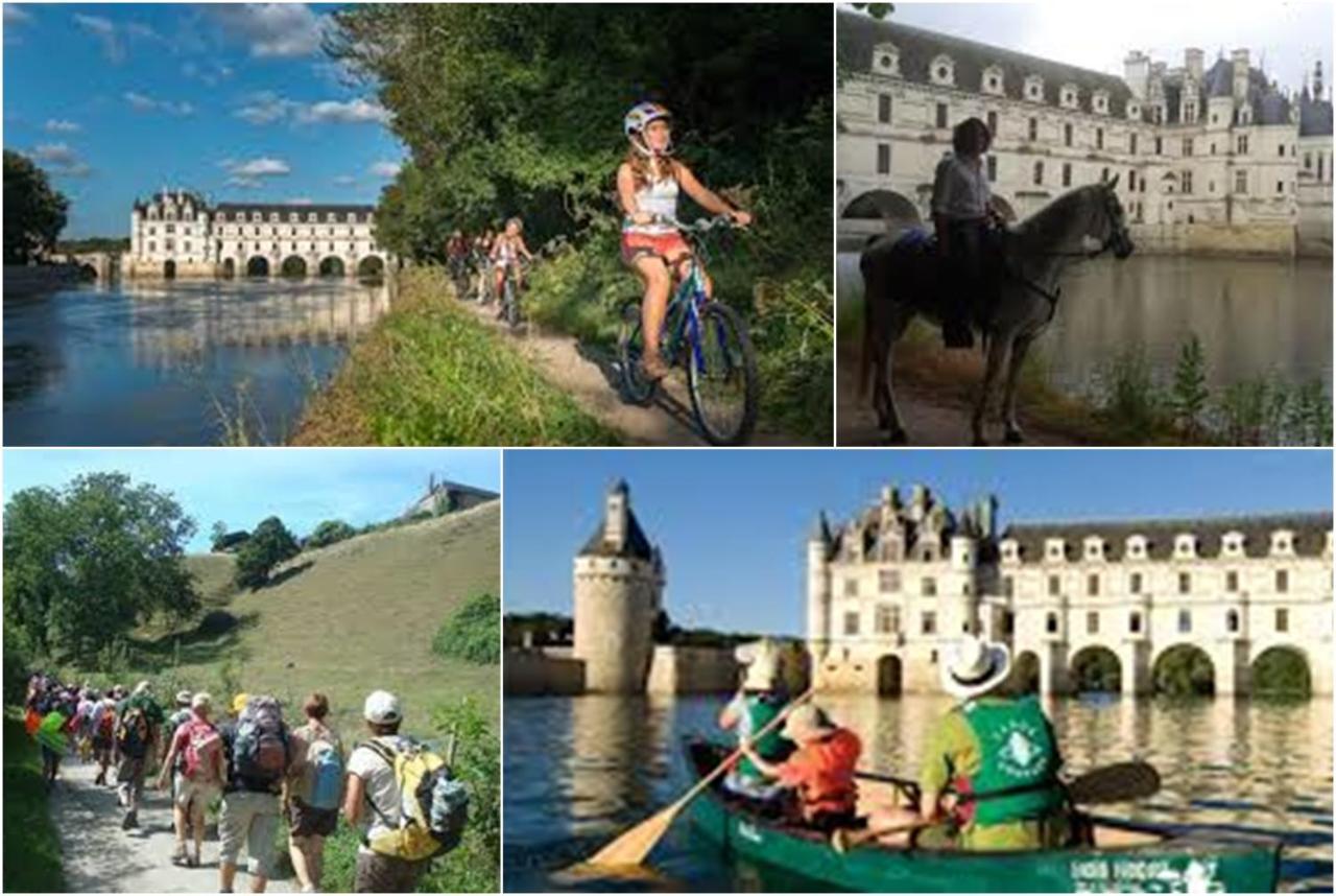 Le Roi Coq Acomodação com café da manhã Chenonceaux Exterior foto